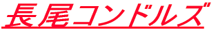 $B#2#0#0#7!&%3%s%I%k%:?7%A!<%`(B