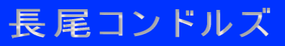 $B#2#0#0#7!&%3%s%I%k%:?7%A!<%`(B