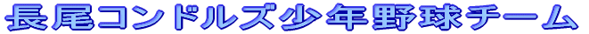 $BD9Hx%3%s%I%k%:>/G/Ln5e%A!<%`(B