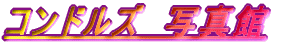 $B%3%s%I%k%:!!<L??4[(B
